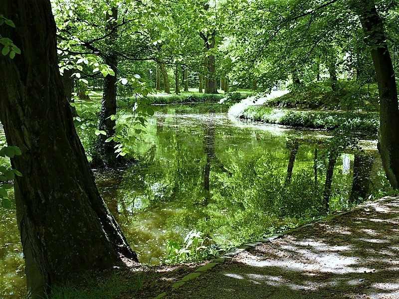 Verwunschener See