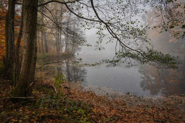 Verwunschener See im Herbst