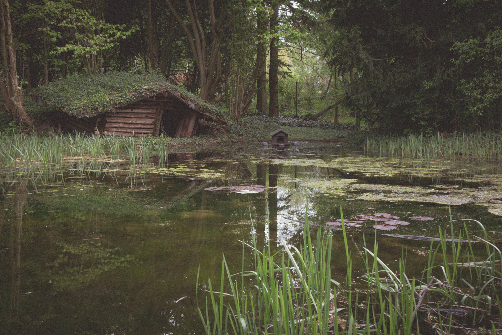 Verwunschener Teich