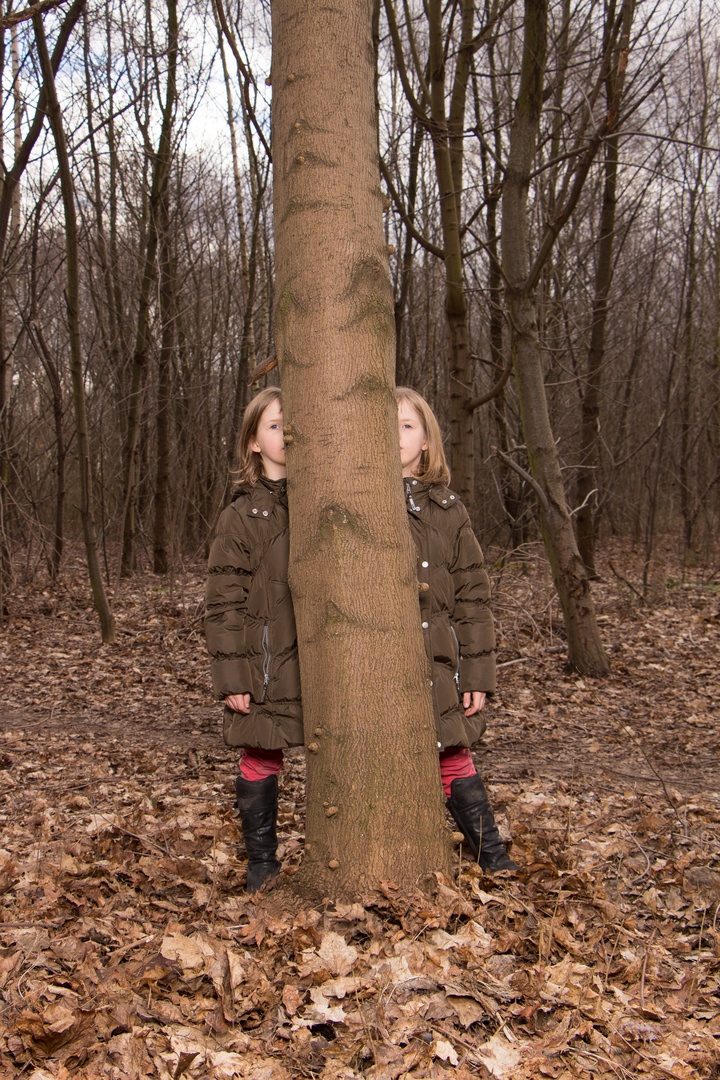 Verwunschener Wald I