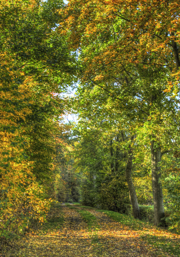 verwunschener Weg