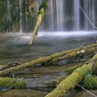 verwunschener Zauberwald