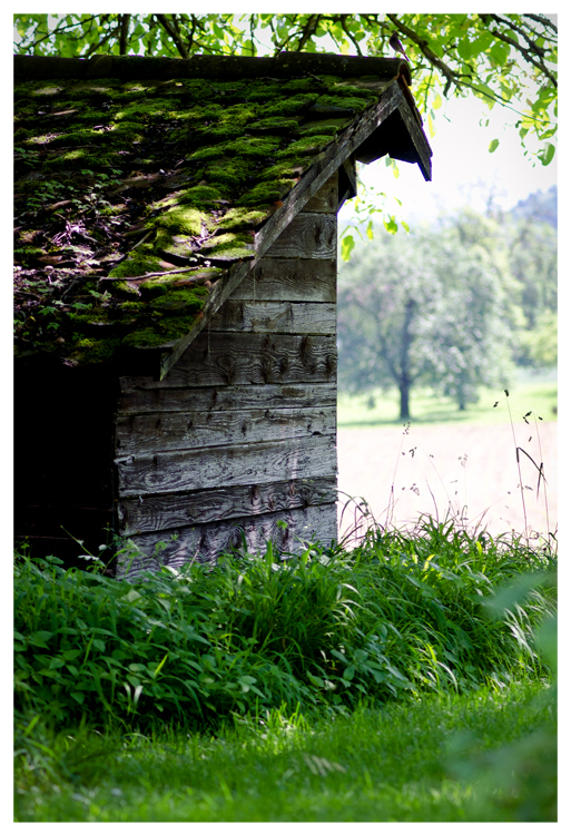 Verwunschenes Gartenhaus