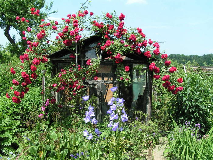 ---Verwunschenes Gartenhaus---