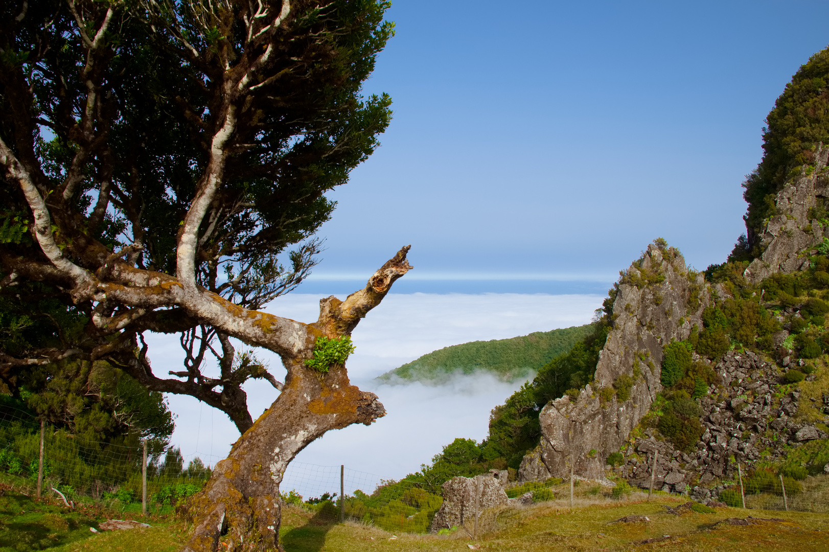 Verwunschenes Madeira