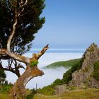 Verwunschenes Madeira