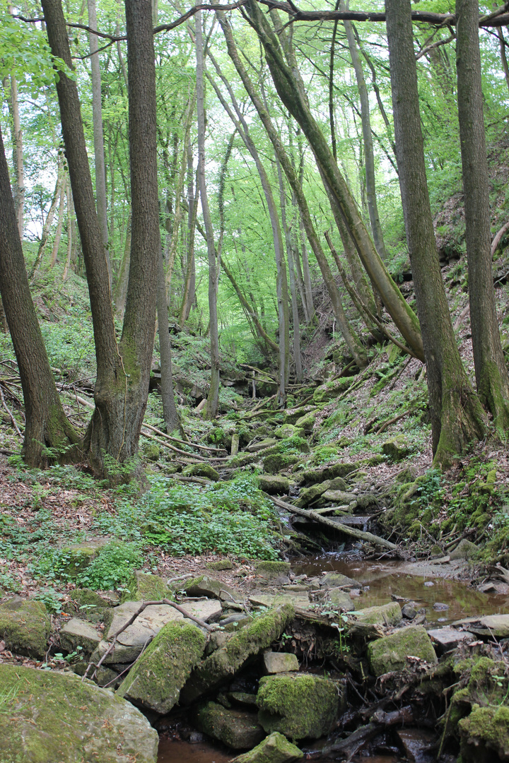 Verwunschenes Tal