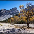 Verwurzelt im Weltnaturerbe