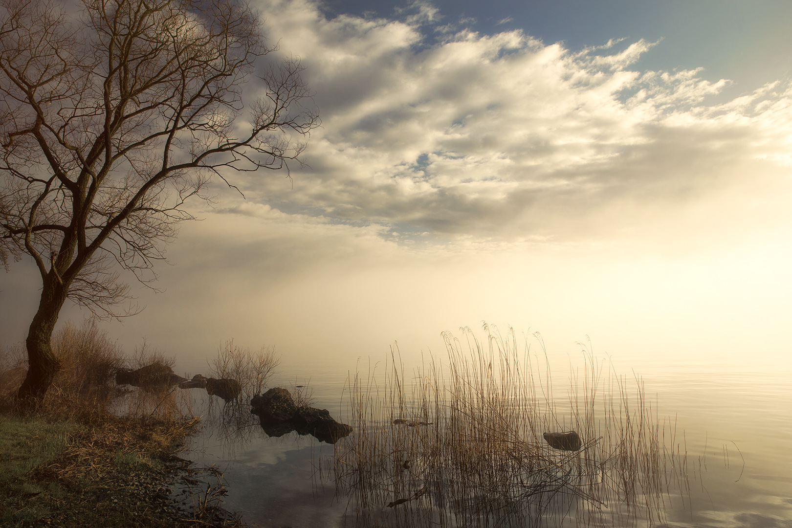 very first morning light