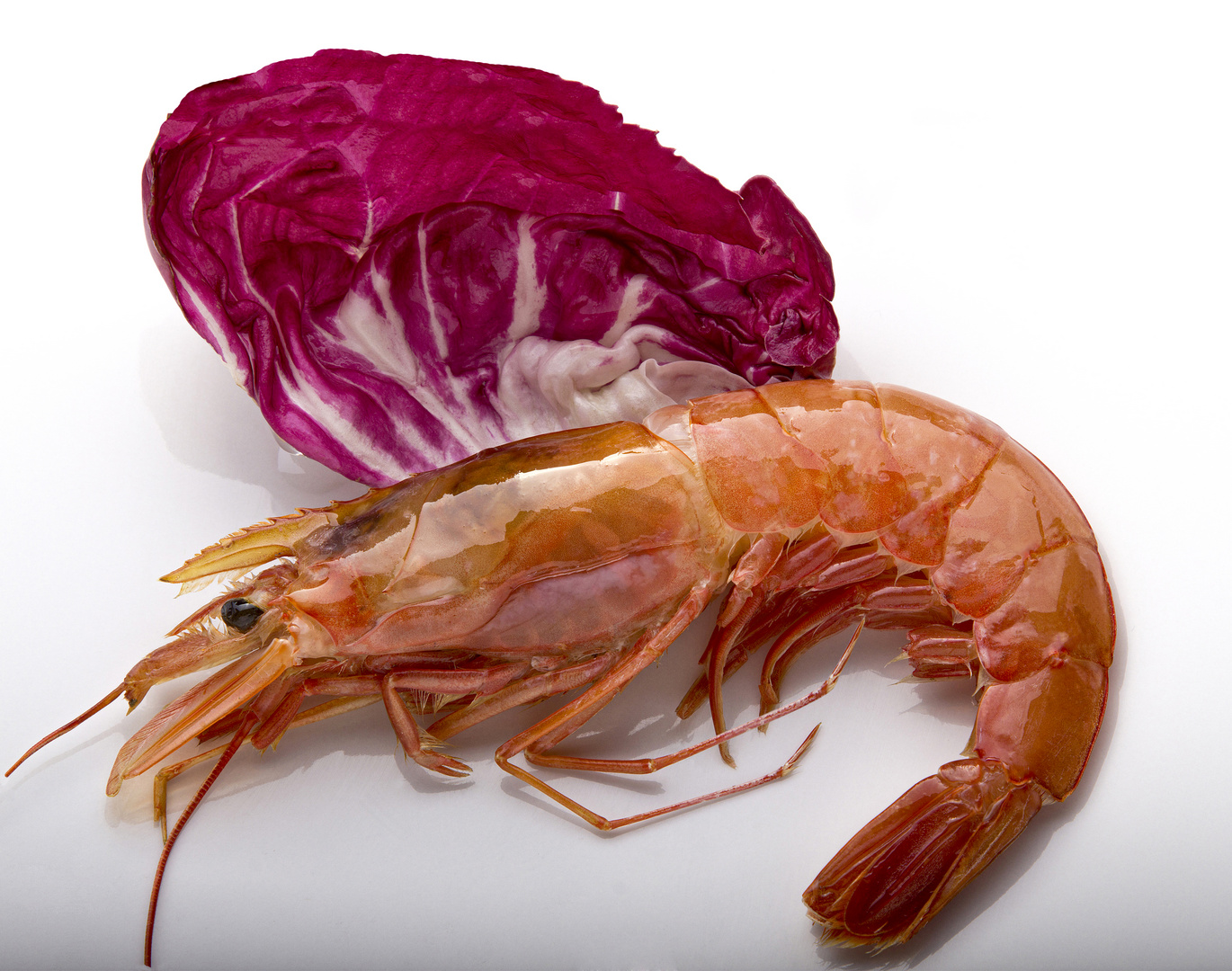 Very fresh...of course!