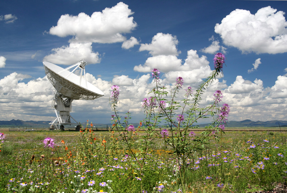 Very Large Array (VLA)