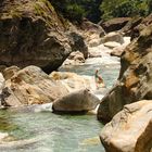 Verzasca, der grüne Fluss