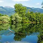 Verzasca fliesst in den Lago Maggiore