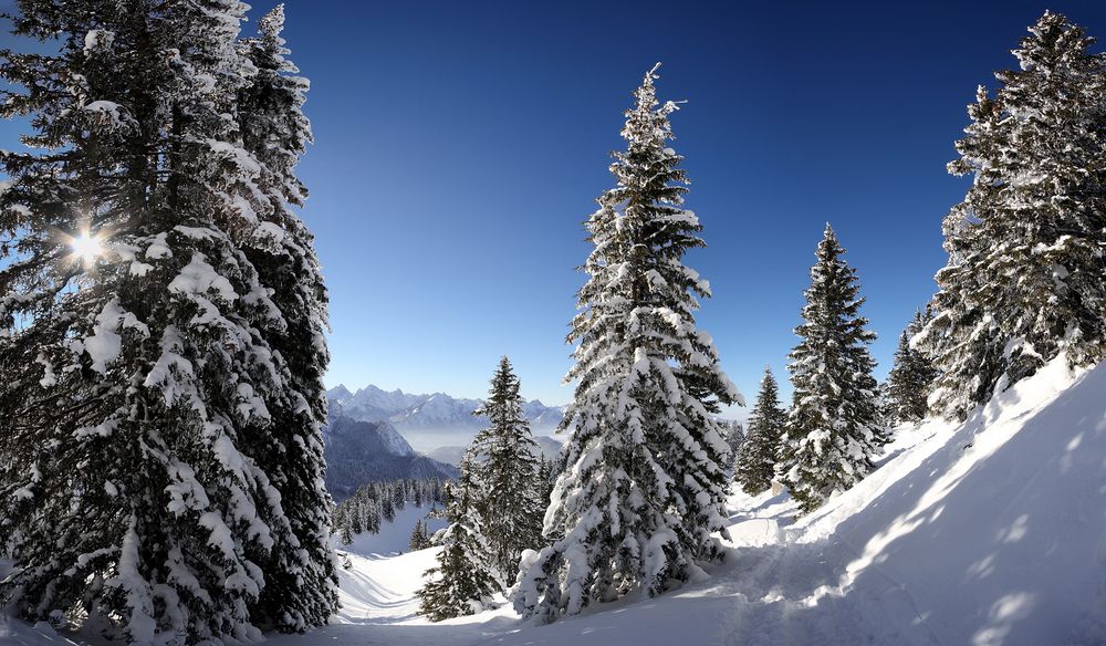 ~ Verzauberte Bergwelt ~