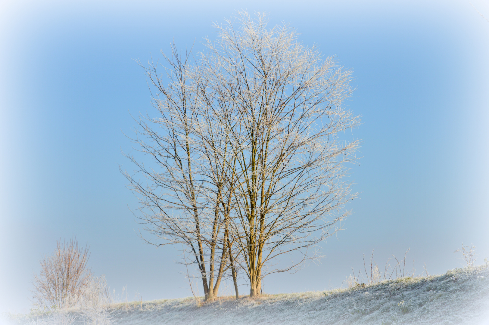 Verzauberte Landschaft