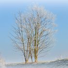 Verzauberte Landschaft