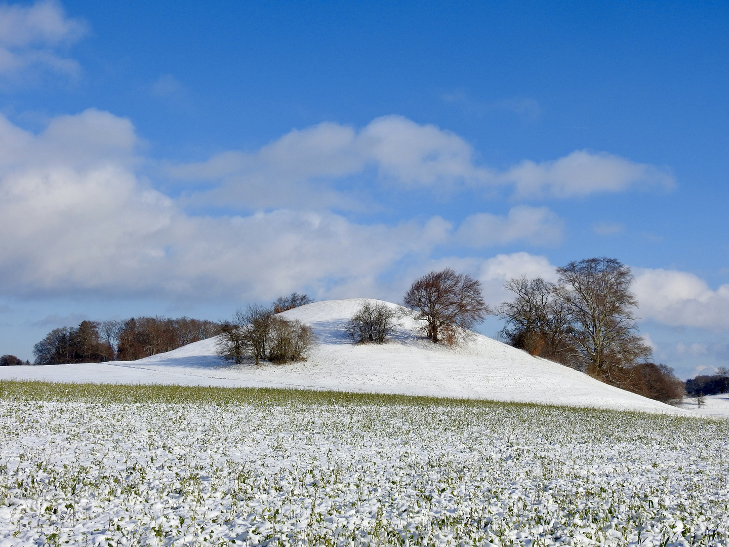 Verzauberte Landschaft