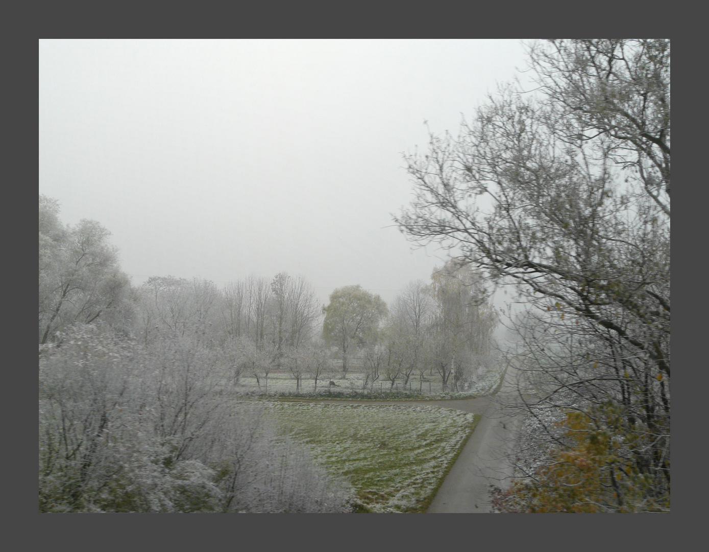 verzauberte Landschaft