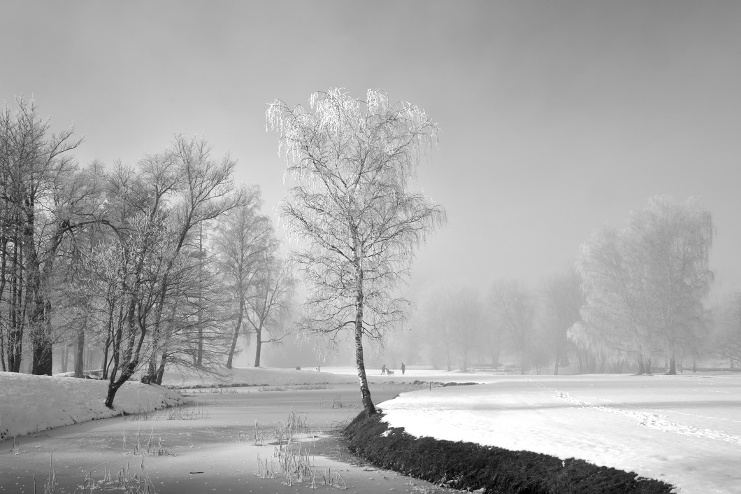 verzauberte Landschaft