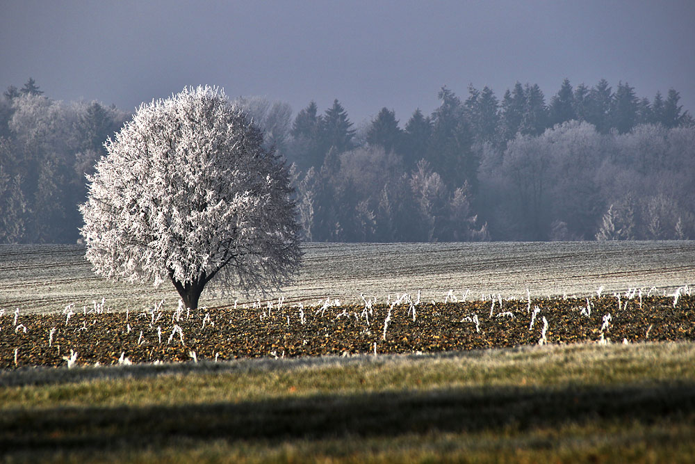 verzauberte Landschaft