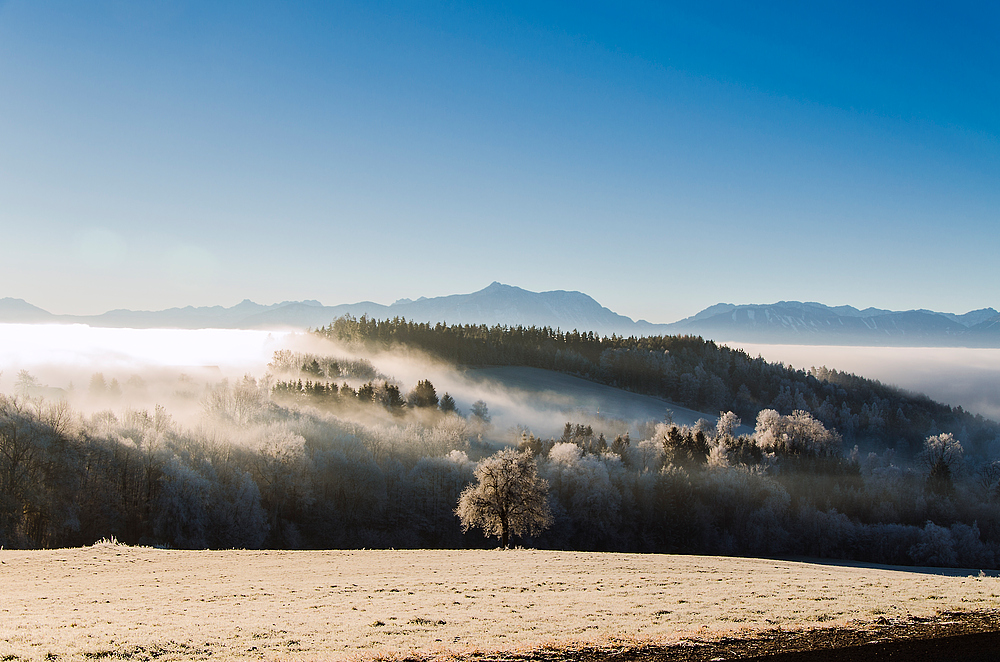 Verzauberte Landschaft