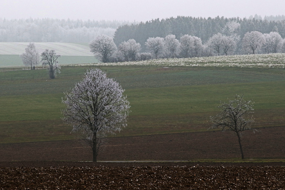 verzauberte Welt