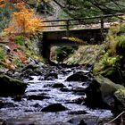 Verzauberte Welt im Harz