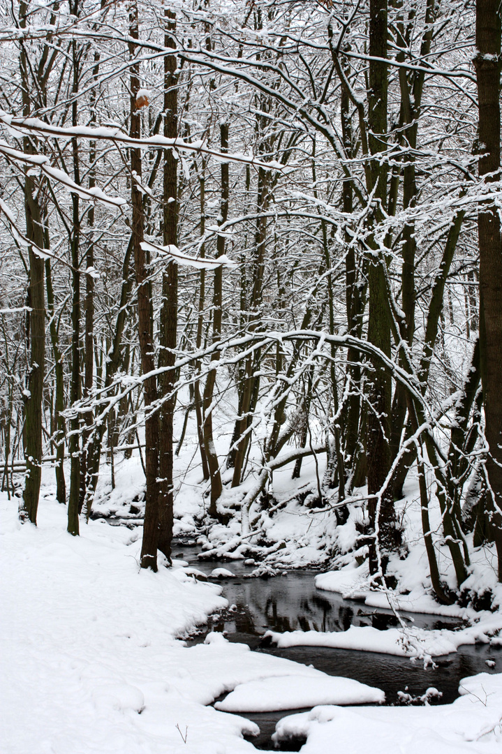 verzauberte Winterlandschaft