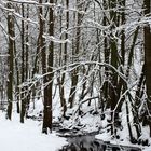 verzauberte Winterlandschaft