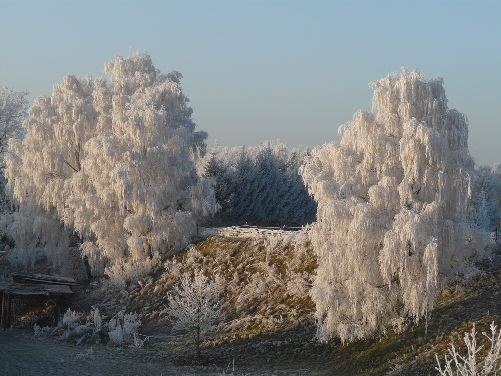 Verzauberte Winterlandschaft Bild 2