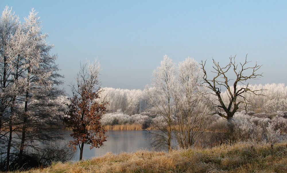 Verzauberte Winterlandschaft