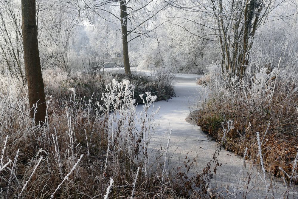 Verzauberte Winterlandschaft