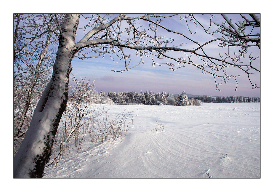 Verzauberte Winterwelt