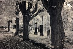 verzauberter Friedhof II    -    in infrarot