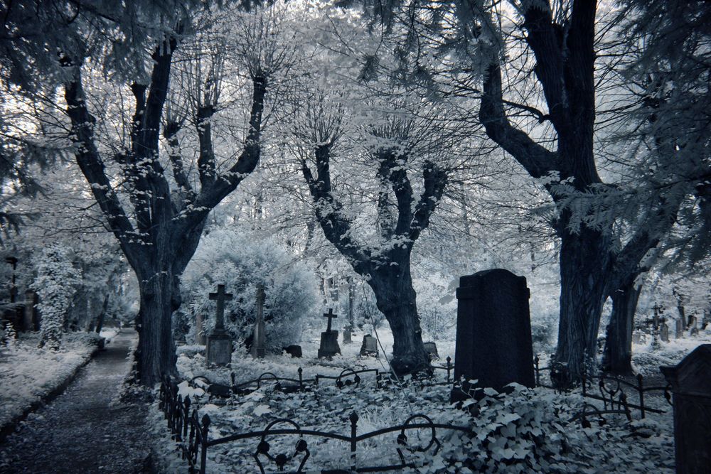 verzauberter Friedhof - in infrarot