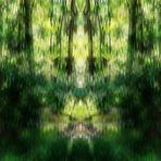 Verzauberter Wald