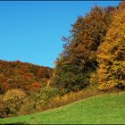 Verzauberter Wald I