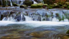 verzauberter Waldbach