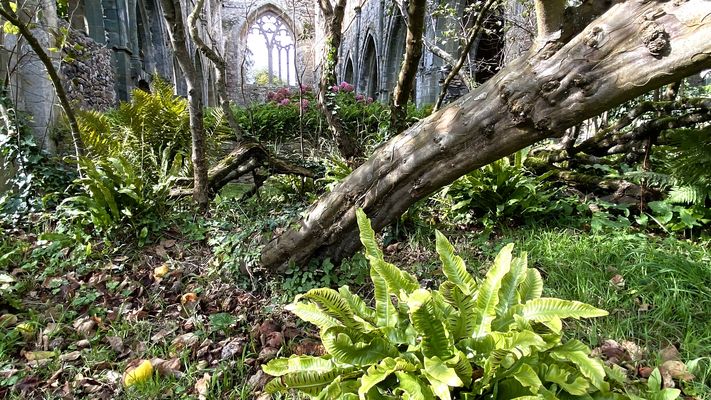 Verzaubertes Kloster Beauport