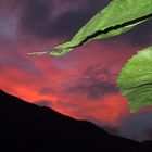 Verzogenes Gewitter im Abendrot