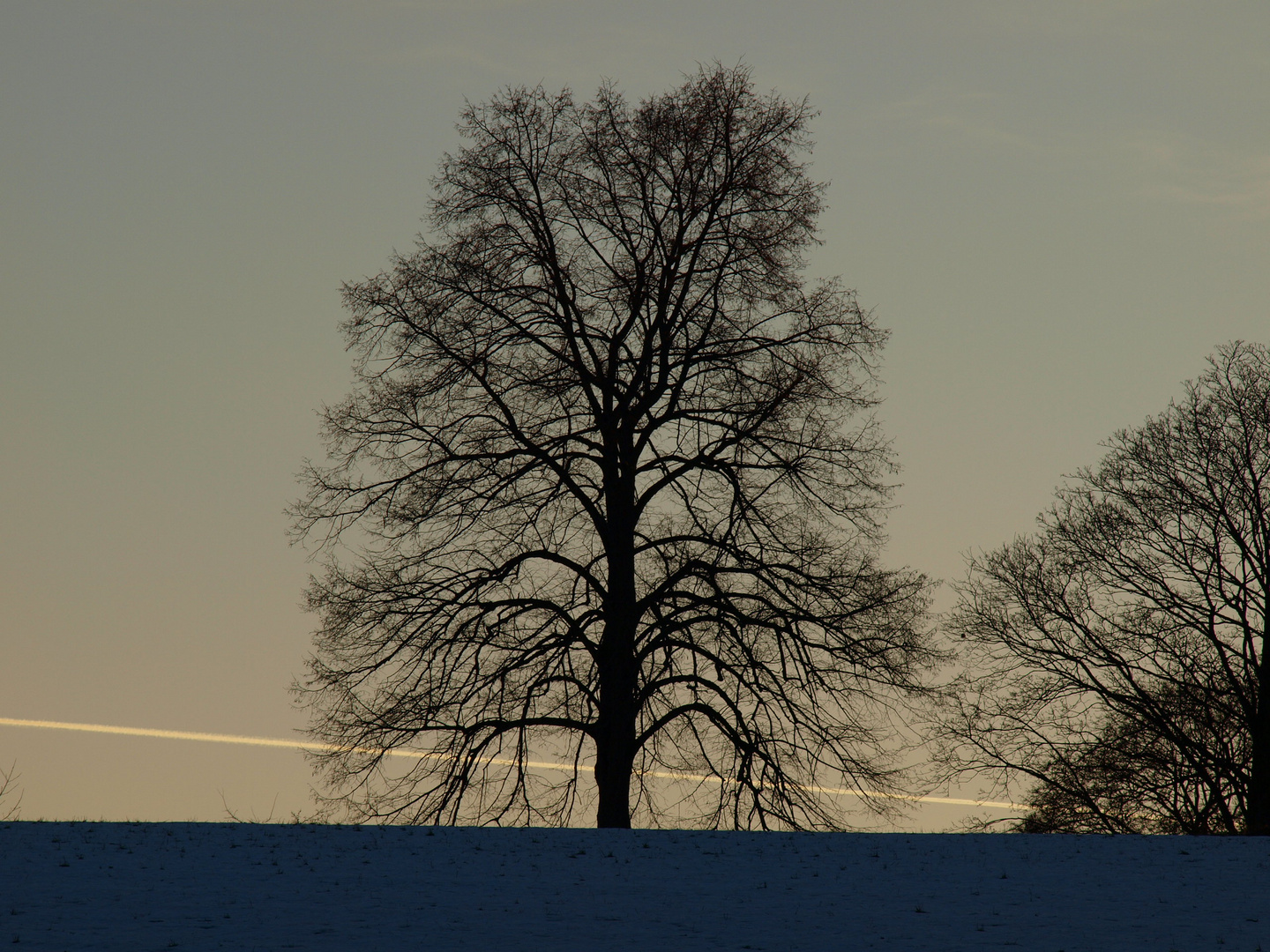 Verzweigt mit dem Horizont