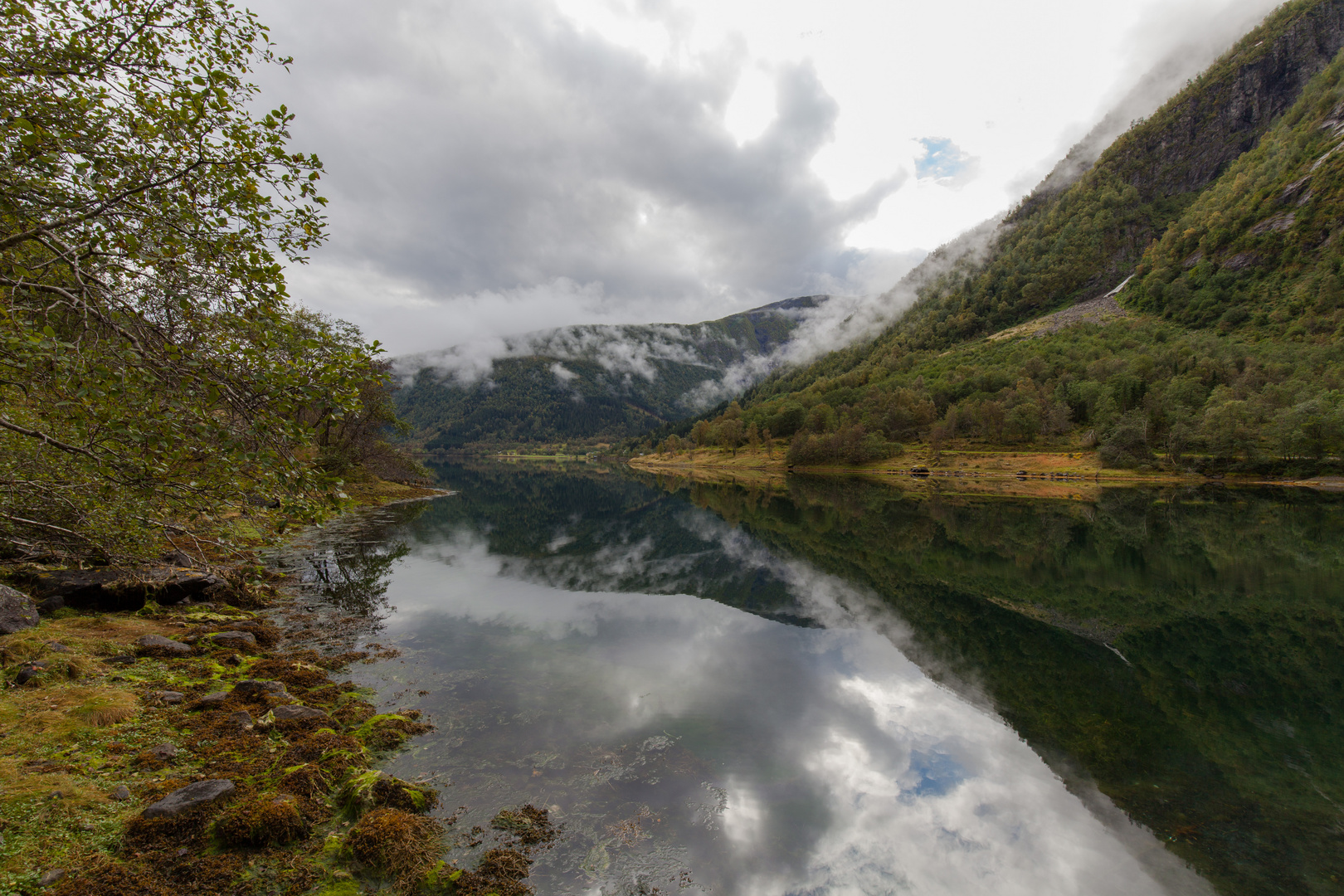 Verzweigte Fjordzipfel_1