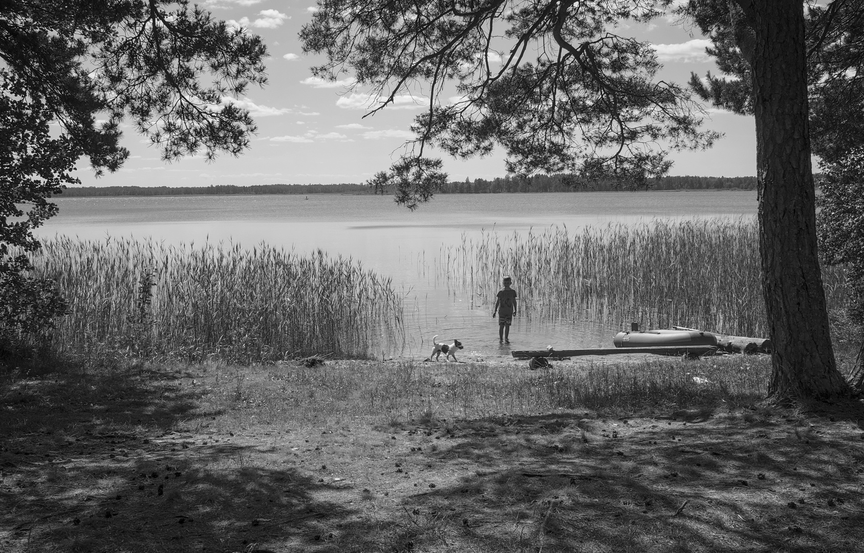 Veskijärv summer