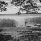 Veskijärv summer