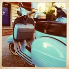 Vespa 8