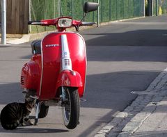 Vespa Fan