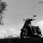 Vespa im Herbst