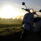 Vespa im Morgennebel