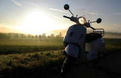 Vespa im Morgennebel