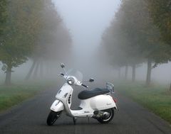 Vespa im Nebel